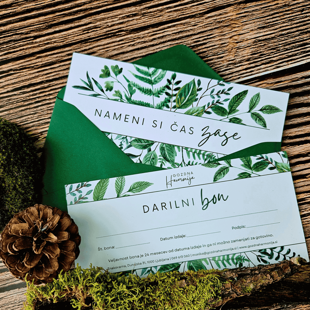Darilni bon gozdna kopel